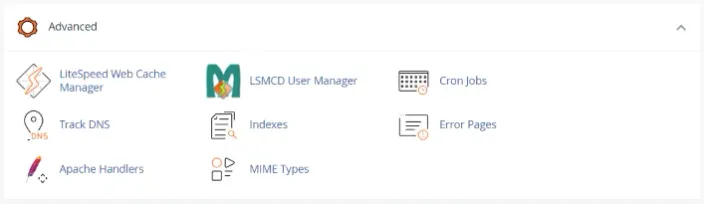 cPanel advanced section