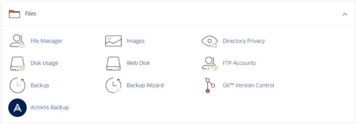 cPanel files section