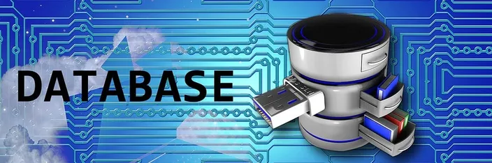 database options