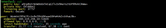 Debian WireGuard client interface status