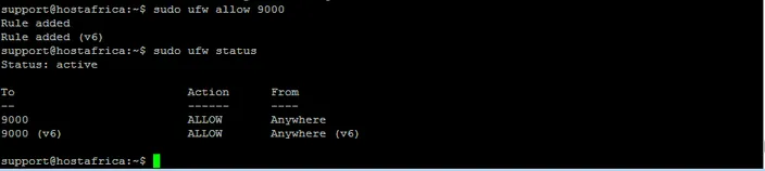 terminal output