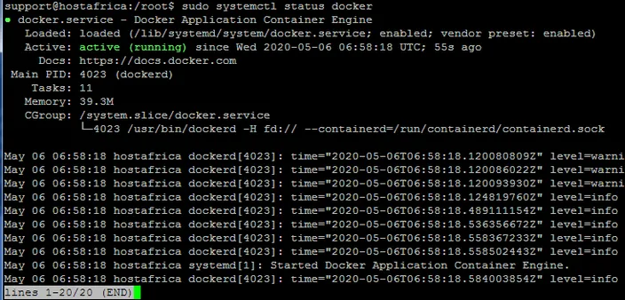 terminal output