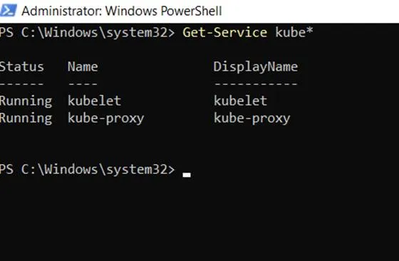 terminal output
