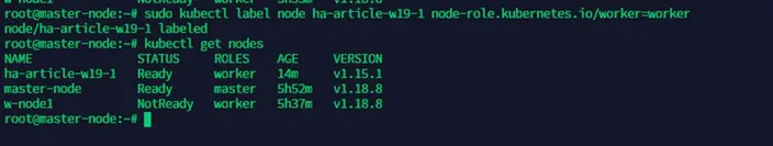 terminal output
