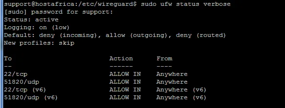 terminal output