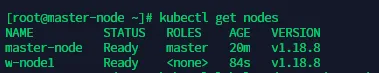 terminal output