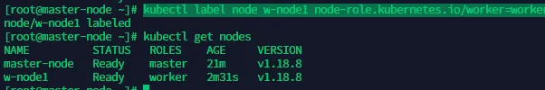 terminal output