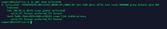 tailscale ip