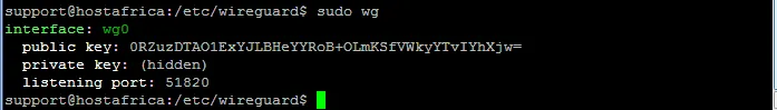terminal output