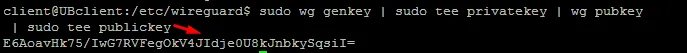 terminal output