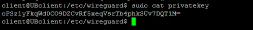 terminal output