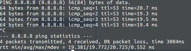 diagnostic ping test
