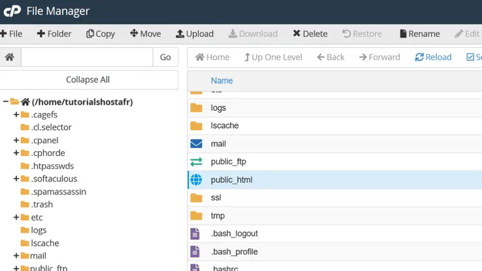 cPanel public_html