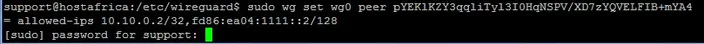 terminal output