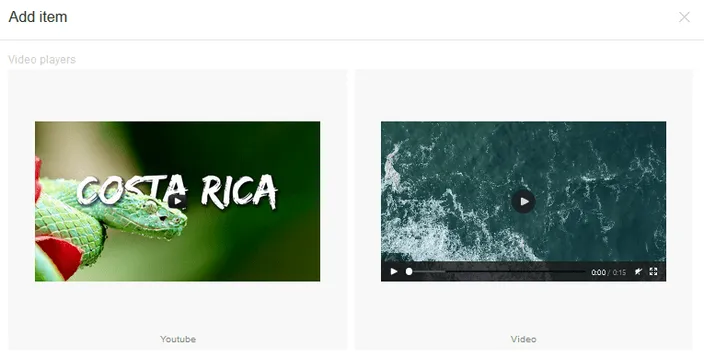 Different kinds of media available to be inserted on your website