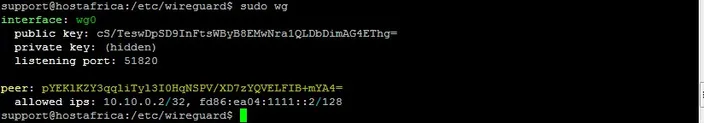 terminal output