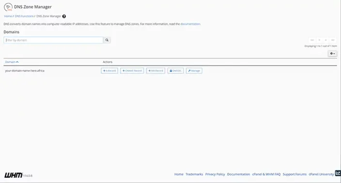 WHM DNS Zone Manager Dashboard