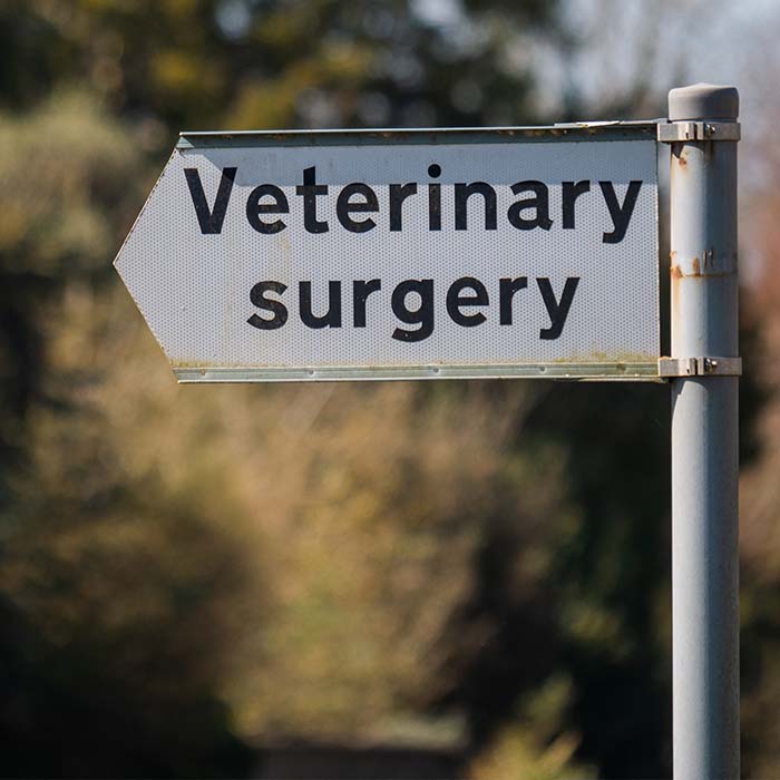Photo of a veterinary sign