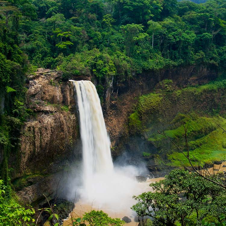 waterfall in Cameroon