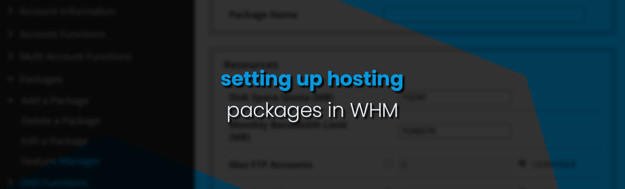 Setting up hosting packages in WHM