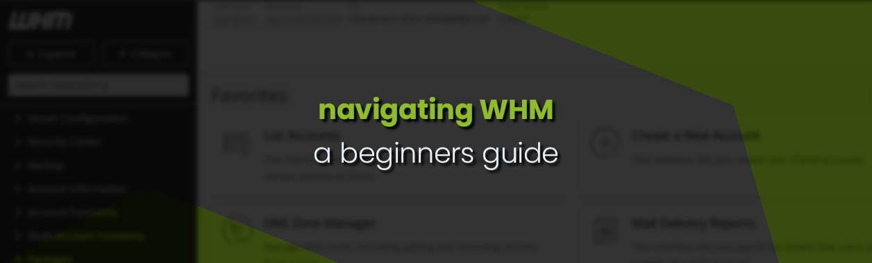 Navigating WHM a Beginners Guide